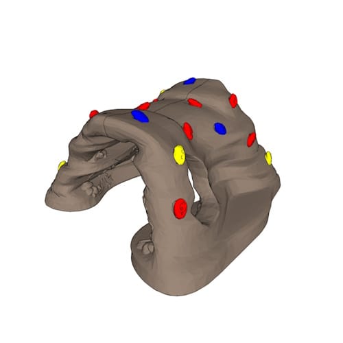 3D Preview