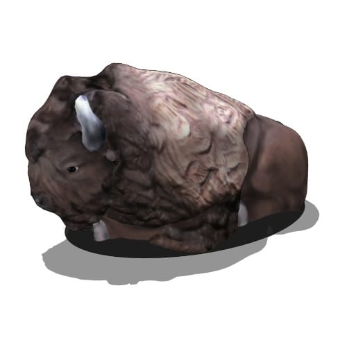 3D Preview