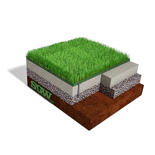 3D Preview