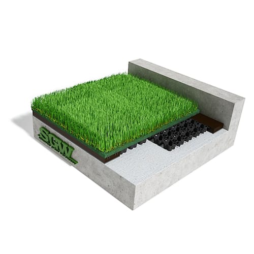 3D Preview